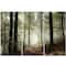 Designart - Light in Dense Fall Forest with Fog - Landscape Art Print Canvas